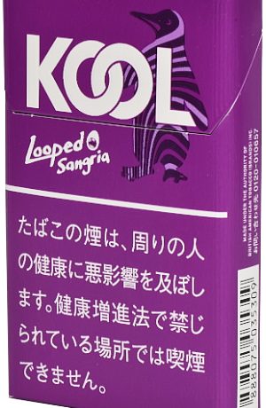 KOOL雪茄莓果薄荷 外国香烟