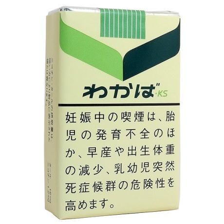 若叶软盒 日本香烟